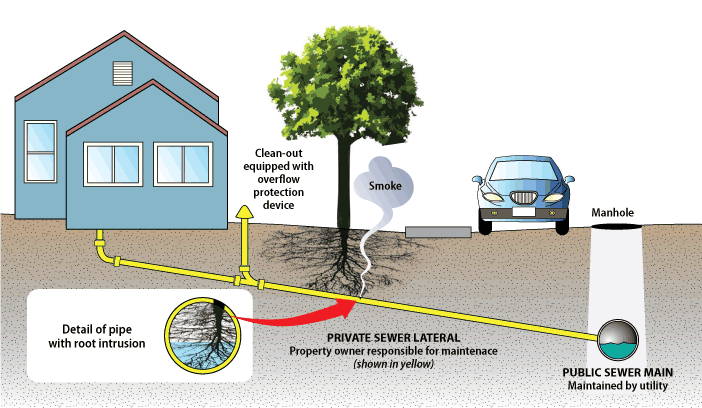 clogged sewer line san mateo